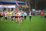 Molenven081116010051_small.jpg (3857 Byte)