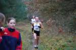 Molenven081116010361_small.jpg (3698 Byte)