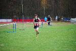 Molenven081116020040_small.jpg (3932 Byte)