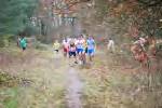 Molenven081116020096_small.jpg (3932 Byte)