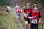 Molenven081116020121_small.jpg (3698 Byte)