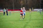 Molenven081116020401_small.jpg (3698 Byte)