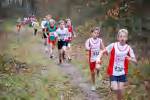 Molenven081116030043_small.jpg (3857 Byte)