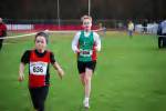 Molenven081116030182_small.jpg (3946 Byte)