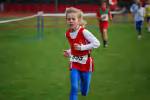 Molenven081116040025_small.jpg (3698 Byte)