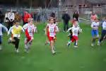 Molenven081116040317_small.jpg (3698 Byte)