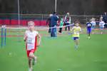 Molenven081116040338_small.jpg (3946 Byte)