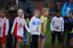 Molenven081116040411_small.jpg (3857 Byte)