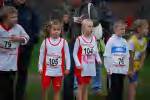 Molenven081116040413_small.jpg (3698 Byte)