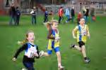 Molenven081116040468_small.jpg (3932 Byte)