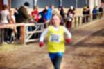 Deurne081214010024_small.jpg (3932 Byte)