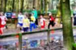 Deurne081214010343_small.jpg (3857 Byte)