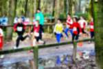 Deurne081214010345_small.jpg (3698 Byte)