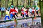 Deurne081214010347_small.jpg (3857 Byte)