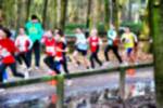 Deurne081214010348_small.jpg (3932 Byte)