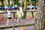 Deurne081214010354_small.jpg (3946 Byte)