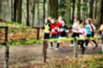 Deurne081214020109_small.jpg (3698 Byte)