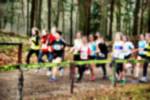 Deurne081214020110_small.jpg (3946 Byte)