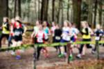 Deurne081214020111_small.jpg (3857 Byte)