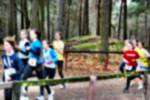 Deurne081214020119_small.jpg (3857 Byte)