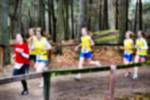 Deurne081214020120_small.jpg (3932 Byte)