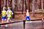 Deurne081214020121_small.jpg (3698 Byte)