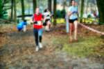 Deurne081214020179_small.jpg (3857 Byte)