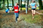 Deurne081214020180_small.jpg (3932 Byte)