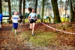 Deurne081214020182_small.jpg (3946 Byte)