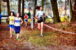 Deurne081214020183_small.jpg (3857 Byte)