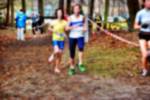 Deurne081214020185_small.jpg (3698 Byte)