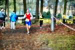 Deurne081214020188_small.jpg (3932 Byte)