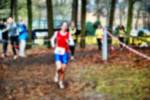 Deurne081214020189_small.jpg (3698 Byte)