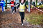 Deurne081214020197_small.jpg (3698 Byte)