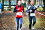 Deurne081214020201_small.jpg (3698 Byte)