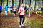 Deurne081214020204_small.jpg (3932 Byte)