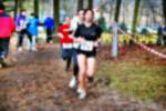 Deurne081214020212_small.jpg (3932 Byte)