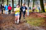 Deurne081214020217_small.jpg (3698 Byte)