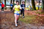 Deurne081214020218_small.jpg (3946 Byte)