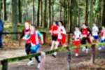 Deurne081214020390_small.jpg (3946 Byte)