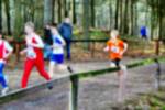 Deurne081214020392_small.jpg (3932 Byte)