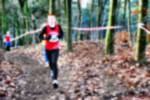 Deurne081214030017_small.jpg (3698 Byte)