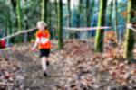 Deurne081214030026_small.jpg (3946 Byte)