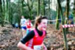 Deurne081214030029_small.jpg (3698 Byte)