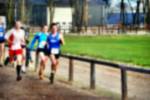 Deurne081214040128_small.jpg (3932 Byte)