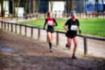 Deurne081214040197_small.jpg (3698 Byte)