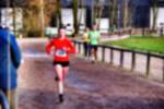 Deurne081214040234_small.jpg (3946 Byte)