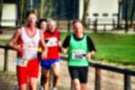 Deurne081214040249_small.jpg (3698 Byte)