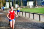 Deurne081214040262_small.jpg (3946 Byte)