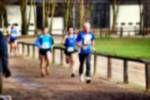 Deurne081214040297_small.jpg (3698 Byte)